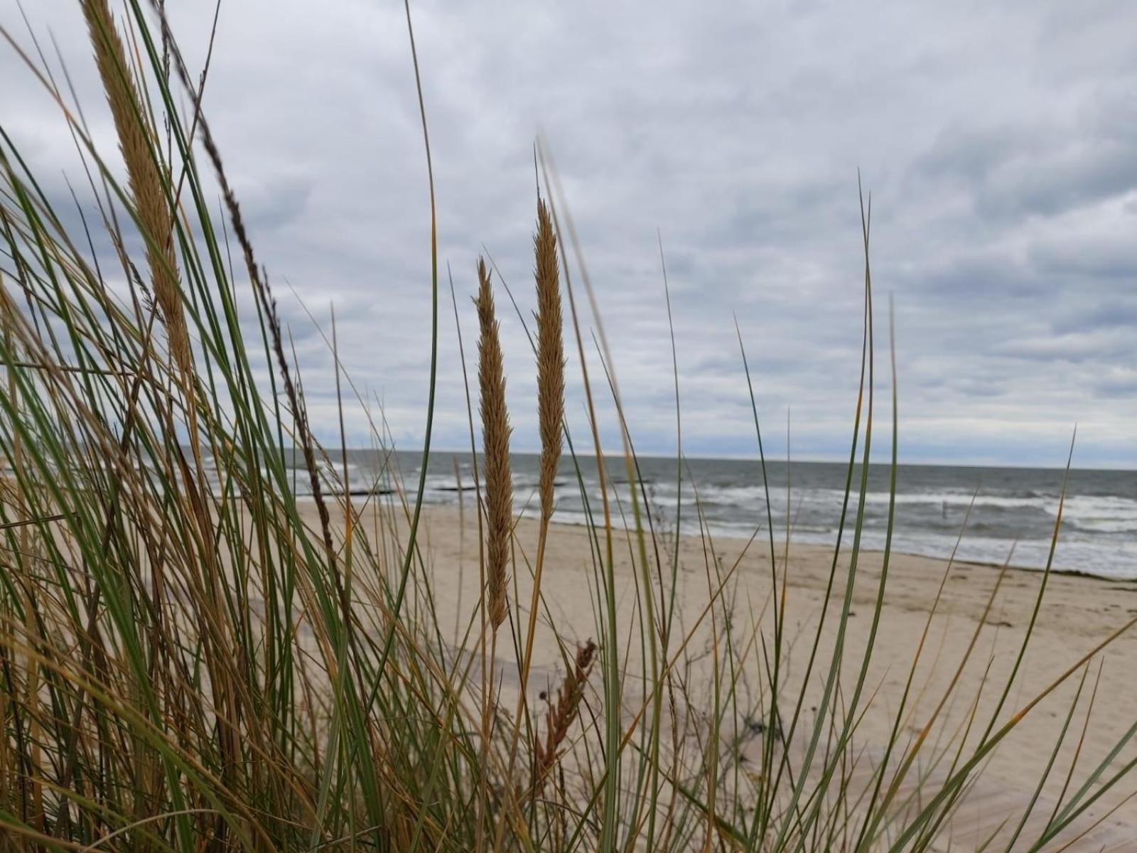 Ostsee Ferienhaus Usedom Hundefreundlich Familie Stopp Haus 22 Lutow Ngoại thất bức ảnh
