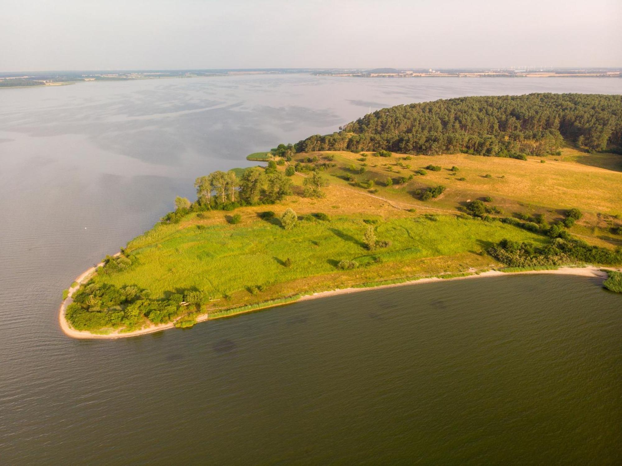 Ostsee Ferienhaus Usedom Hundefreundlich Familie Stopp Haus 22 Lutow Ngoại thất bức ảnh